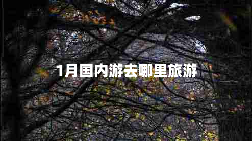 1月國內(nèi)游去哪里旅游 1月國內(nèi)游去哪里旅游