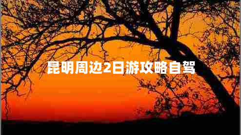 昆明周邊2日游攻略自駕