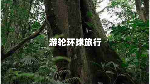 游輪環(huán)球旅行