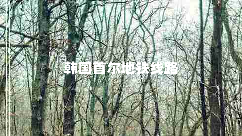 韓國(guó)首爾地鐵線路