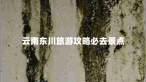 云南東川旅游攻略必去景點(diǎn)