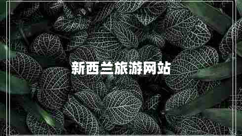 新西蘭旅游網(wǎng)站