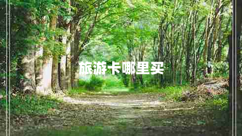 旅游卡哪里買(mǎi)