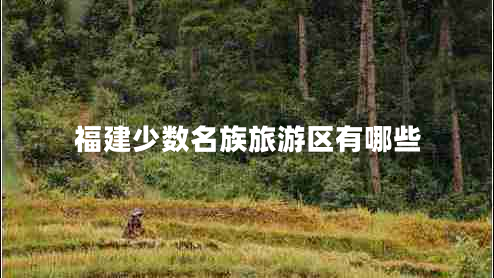 福建少數(shù)名族旅游區(qū)有哪些