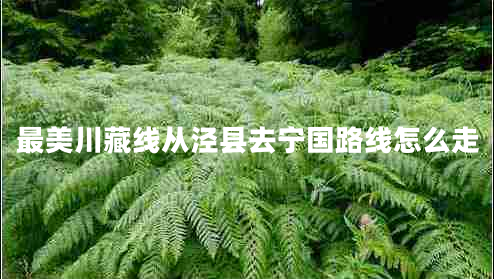 最美川藏線從涇縣去寧國路線怎么走