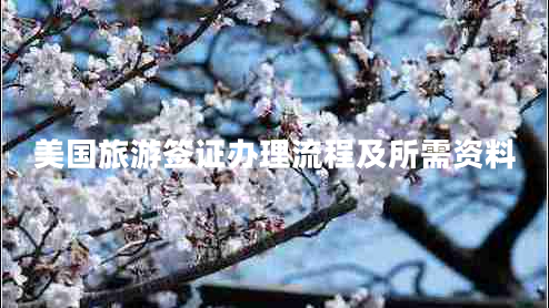 美國旅游簽證辦理流程及所需資料