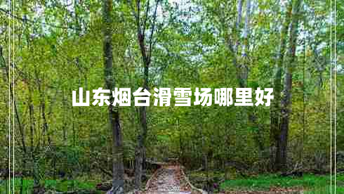 山東煙臺(tái)滑雪場(chǎng)哪里好