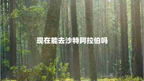 現(xiàn)在能去沙特阿拉伯嗎