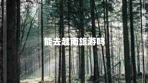 能去越南旅游嗎