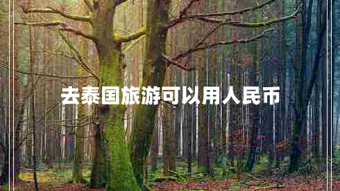 去泰國旅游可以用人民幣 去泰國旅游可以用人民幣
