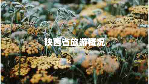 陜西省旅游概況 陜西省旅游概況