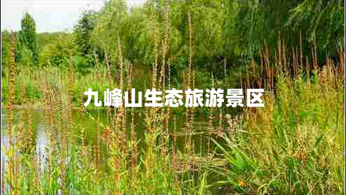 九峰山生態(tài)旅游景區(qū) 九峰山生態(tài)旅游景區(qū)