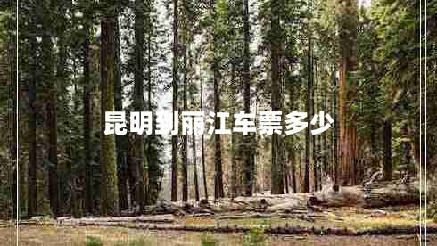 昆明到麗江車票多少 昆明到麗江車票多少