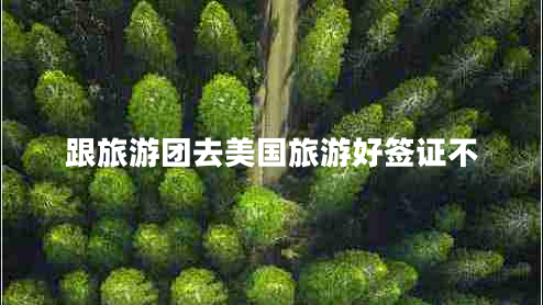 跟旅游團(tuán)去美國(guó)旅游好簽證不