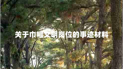 關(guān)于巾幗文明崗位的事跡材料