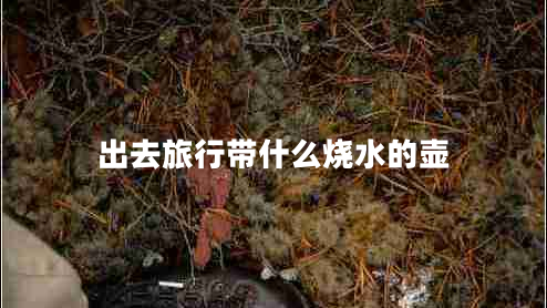 出去旅行帶什么燒水的壺