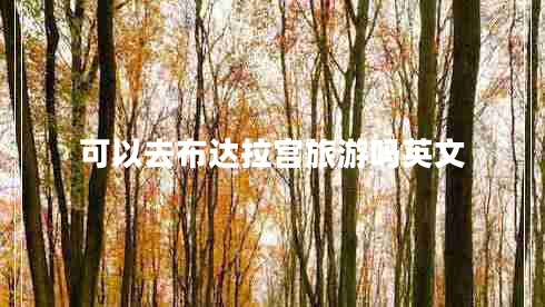 可以去布達拉宮旅游嗎英文 可以去布達拉宮旅游嗎英文