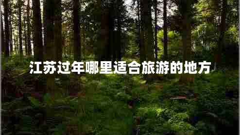 江蘇過年哪里適合旅游的地方