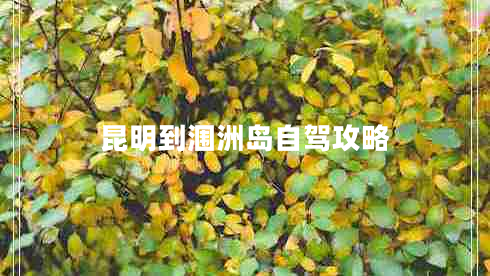 昆明到潿洲島自駕攻略