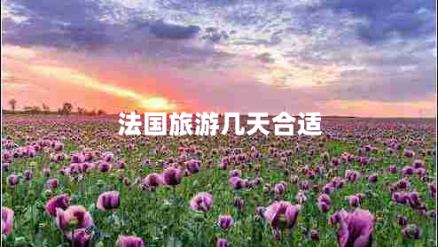 法國旅游幾天合適 法國旅游幾天合適