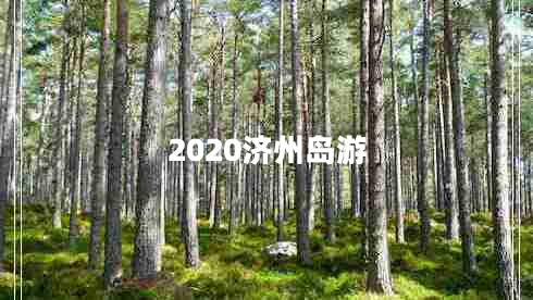 2020濟州島游