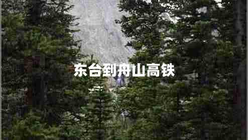 東臺到舟山高鐵 東臺到舟山高鐵