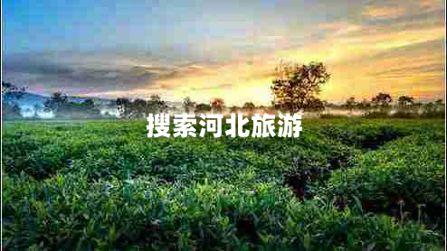 搜索河北旅游