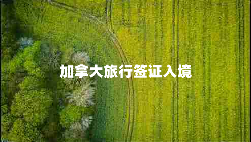 加拿大旅行簽證入境 加拿大旅行簽證入境