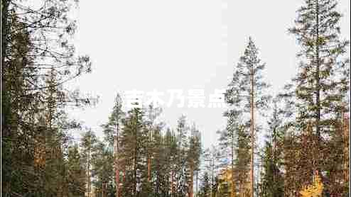 吉木乃景點(diǎn) 吉木乃景點(diǎn)