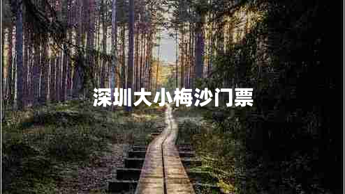 深圳大小梅沙門(mén)票