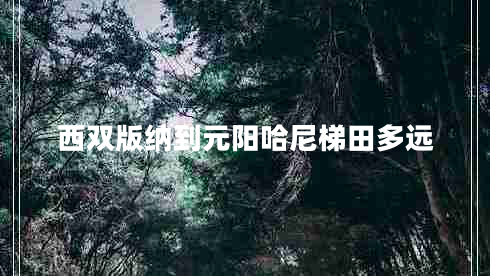 西雙版納到元陽(yáng)哈尼梯田多遠(yuǎn)