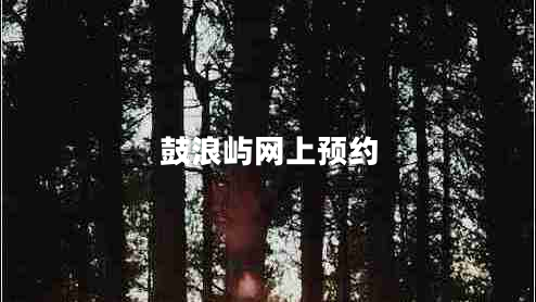 鼓浪嶼網(wǎng)上預(yù)約