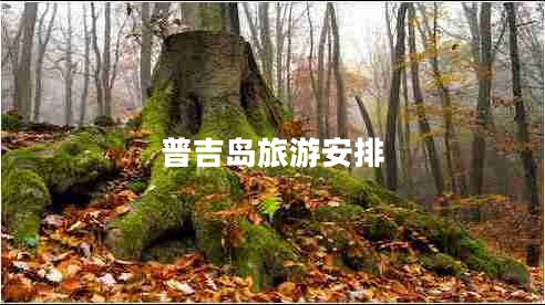 普吉島旅游安排 普吉島旅游安排