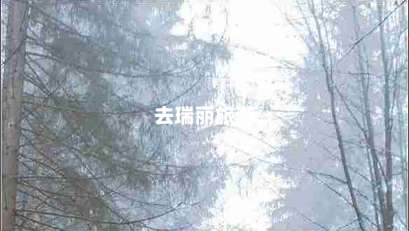 去瑞麗旅游 去瑞麗旅游