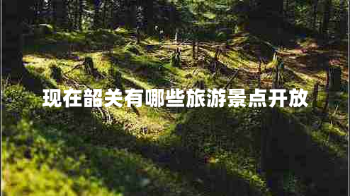 現(xiàn)在韶關(guān)有哪些旅游景點(diǎn)開(kāi)放