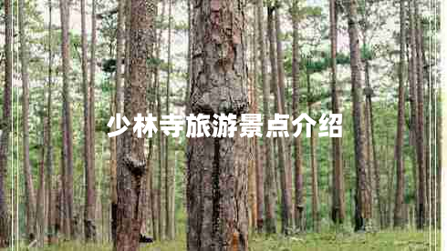 少林寺旅游景點(diǎn)介紹