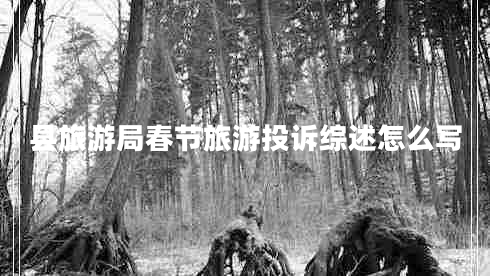 縣旅游局春節(jié)旅游投訴綜述怎么寫 縣旅游局春節(jié)旅游投訴綜述怎么寫