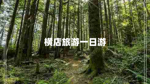 橫店旅游一日游