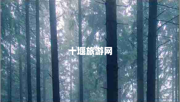 十堰旅游網(wǎng)