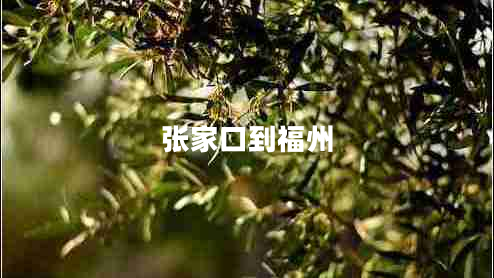 張家口到福州