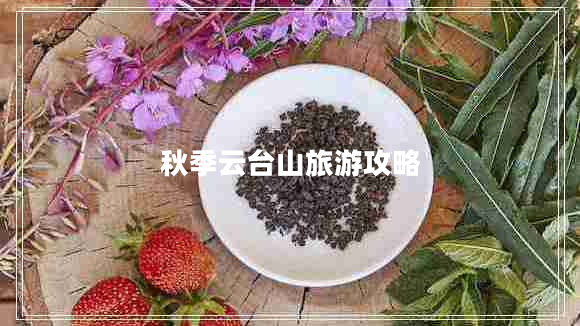 秋季云臺山旅游攻略