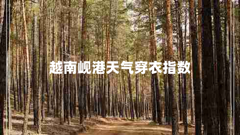 越南峴港天氣穿衣指數(shù)