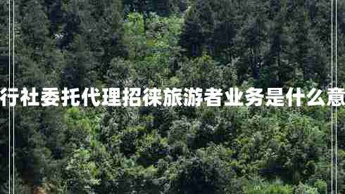 旅行社委托代理招徠旅游者業(yè)務(wù)是什么意思