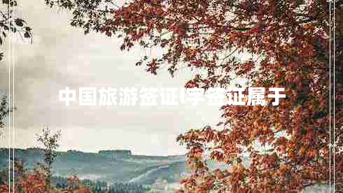 中國(guó)旅游簽證l字簽證屬于 中國(guó)旅游簽證l字簽證屬于