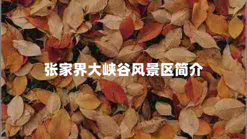 張家界大峽谷風(fēng)景區(qū)簡介