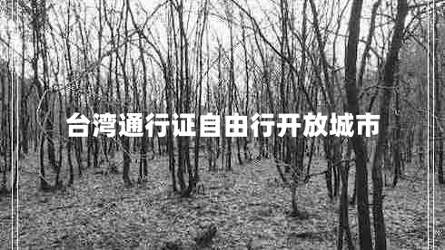 臺灣通行證自由行開放城市