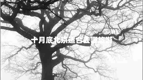 十月底北京適合去哪旅游