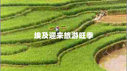 埃及迎來旅游旺季