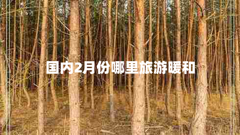 國內(nèi)2月份哪里旅游暖和 國內(nèi)2月份哪里旅游暖和