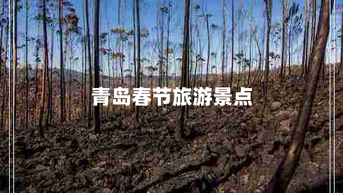 青島春節(jié)旅游景點(diǎn) 青島春節(jié)旅游景點(diǎn)